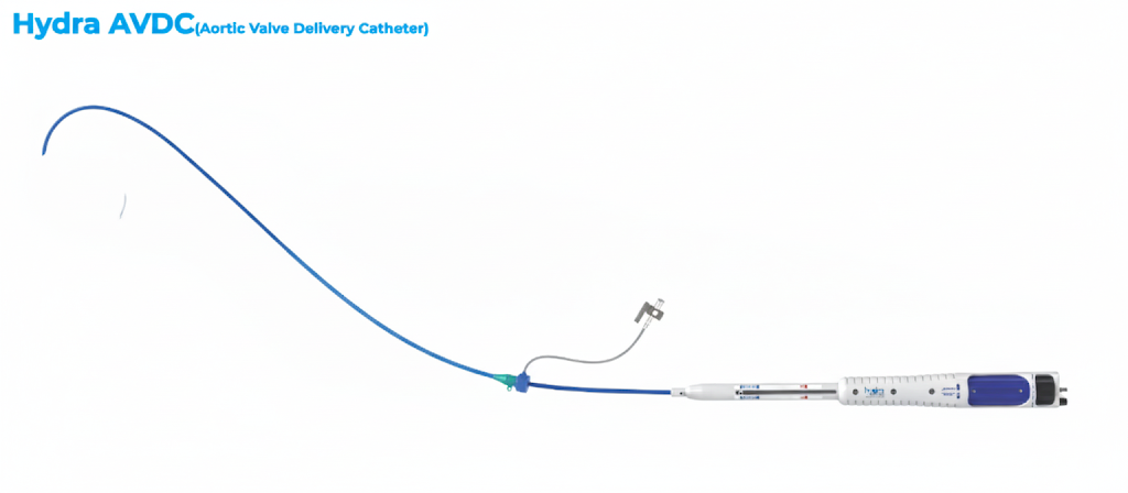 Hydra Aortic Valve Delivery Catherter
